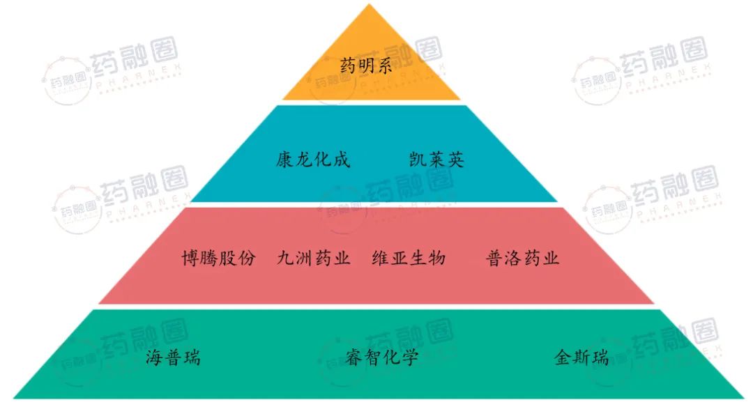 《2021年中国制药cdmo产业地图》来袭—梯队排名和分布情况