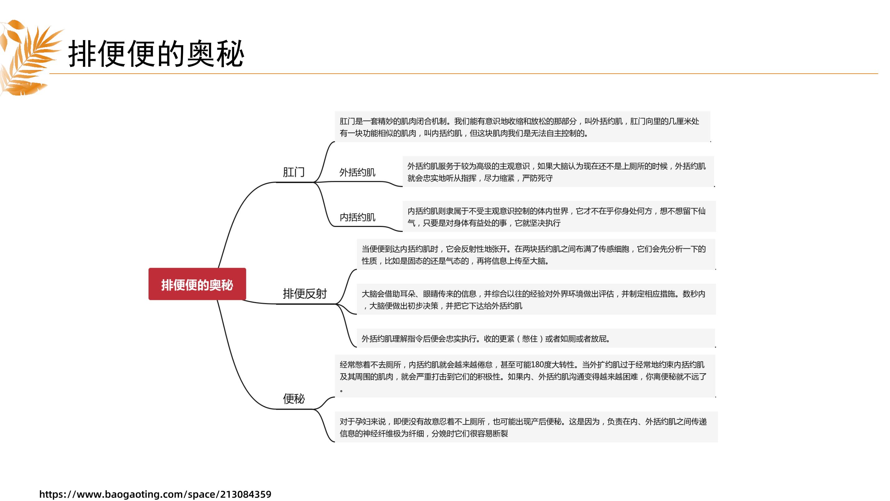 心思肥壮的十个规范 (心思肥壮的十种动物)