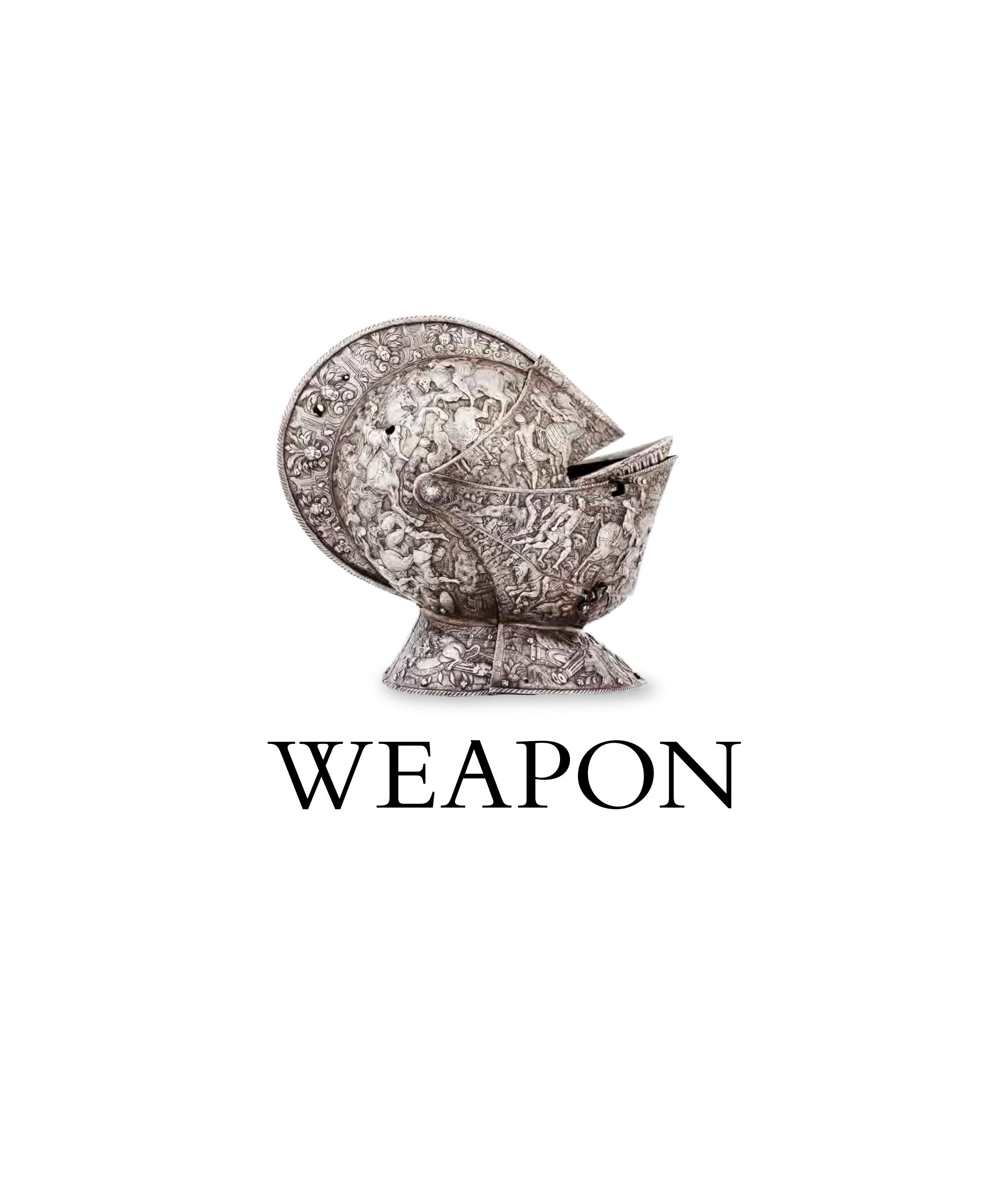《武器兵器史 Weapon A Visual History of Arms and Armor》_文库报告厅